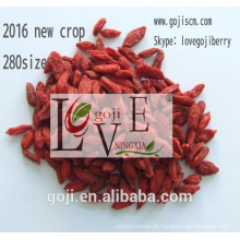 2017 organische goji beere